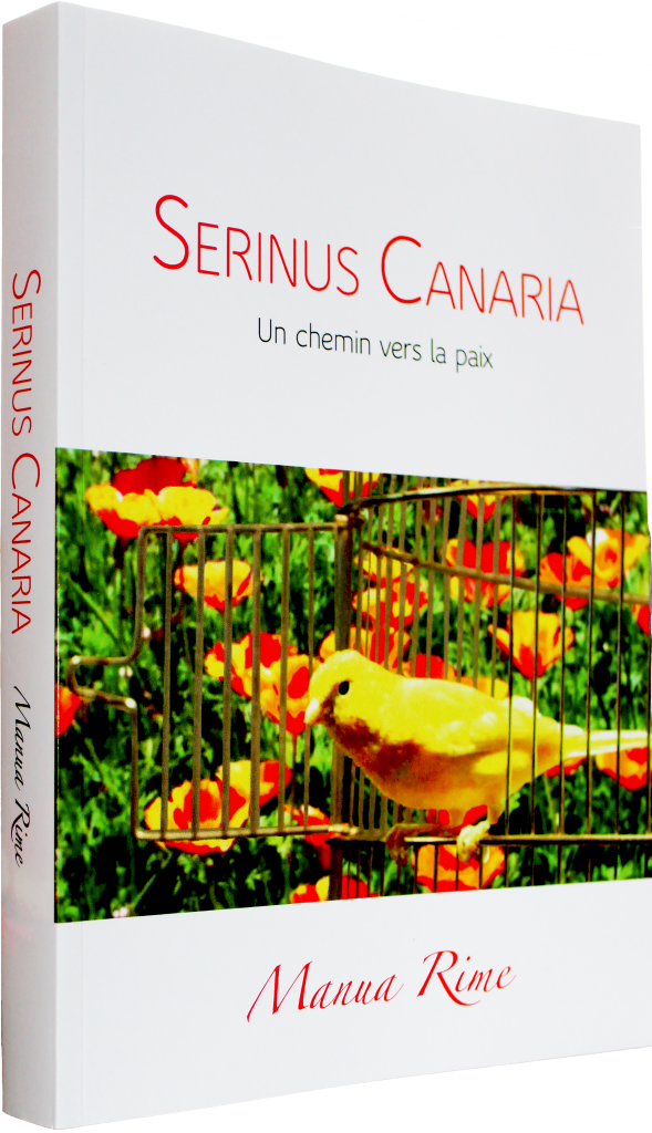 Serinus Canaria Livre